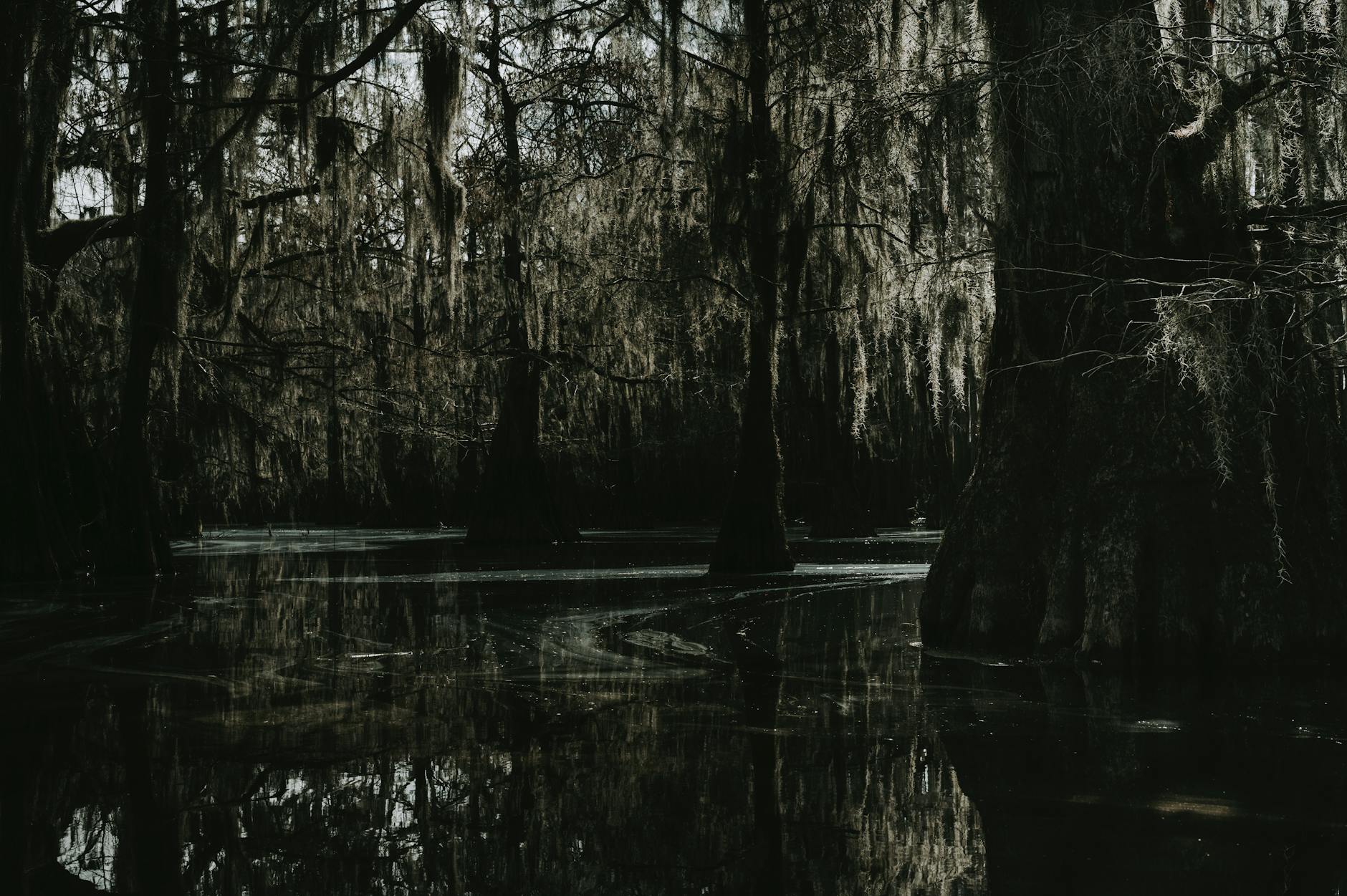 Bayou La Batre