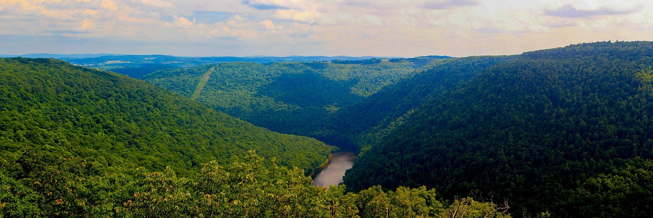 Birch River