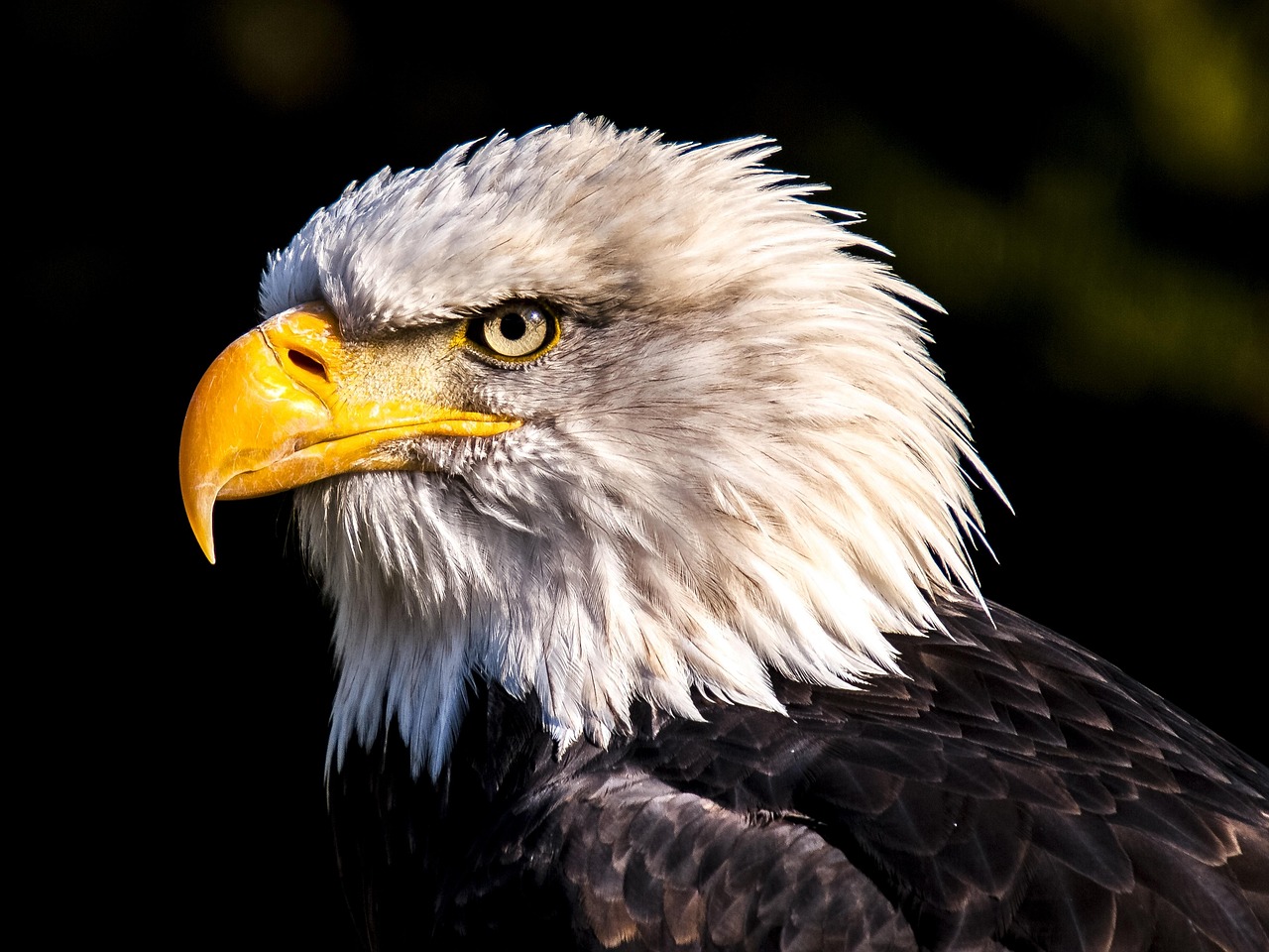 Eagle Bend