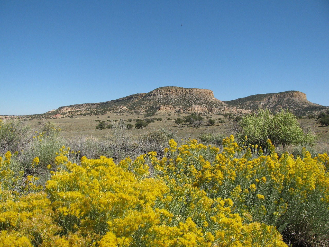 Elephant Butte
