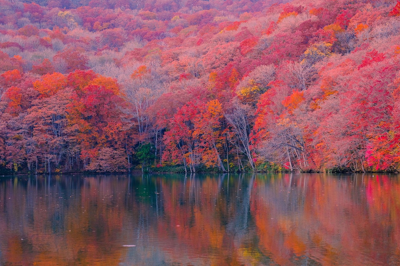 Forest Lakes