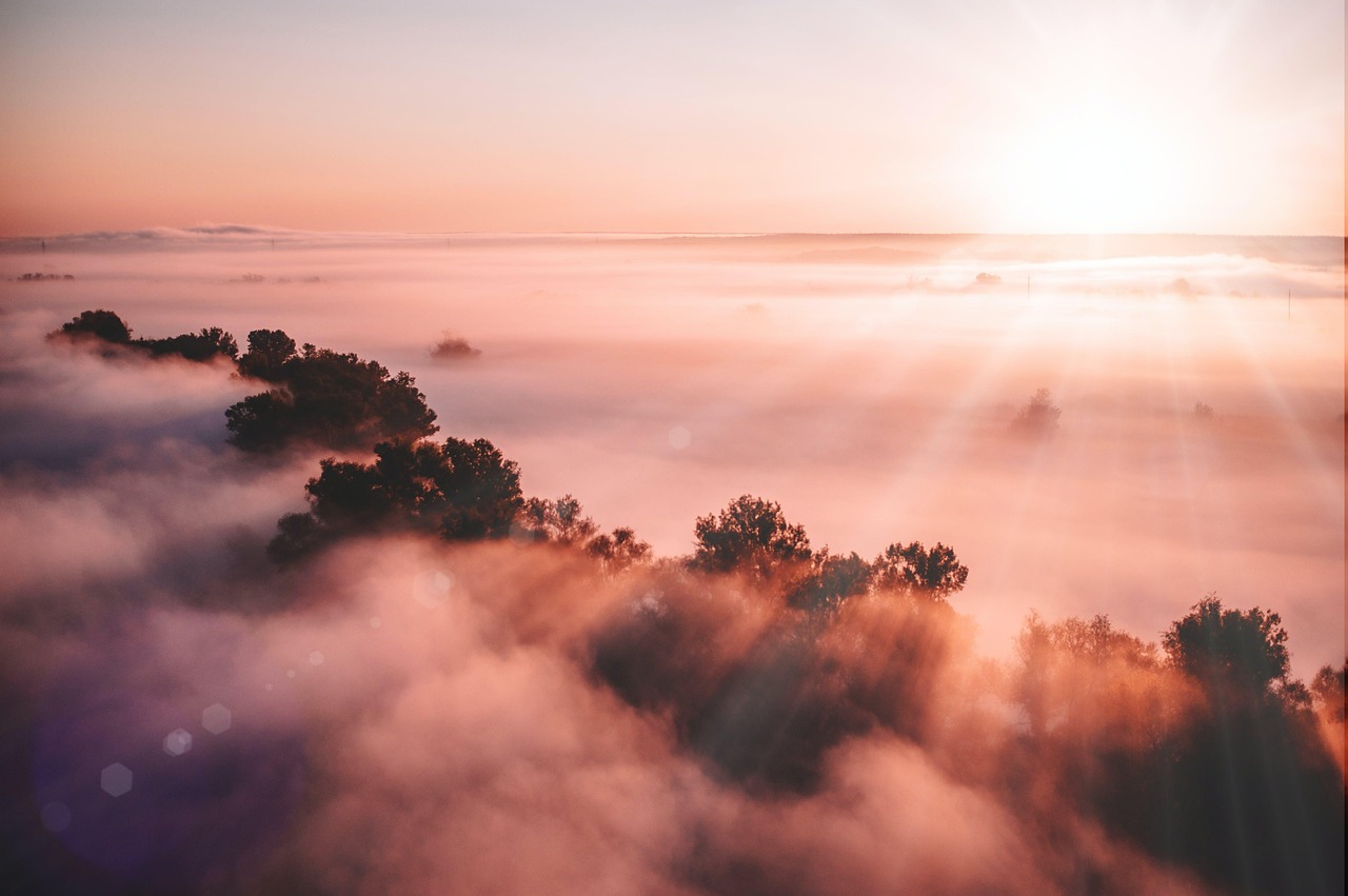 Morning Sun