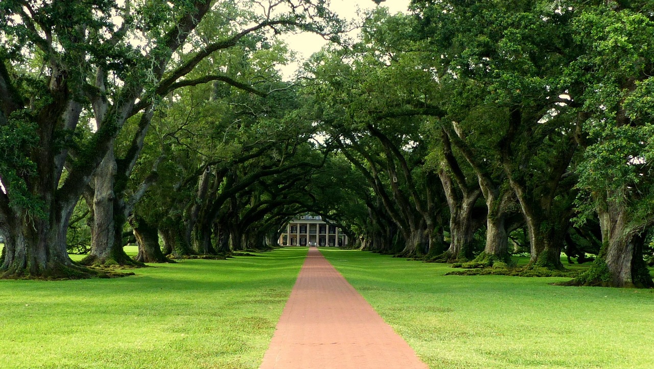 Pine Prairie