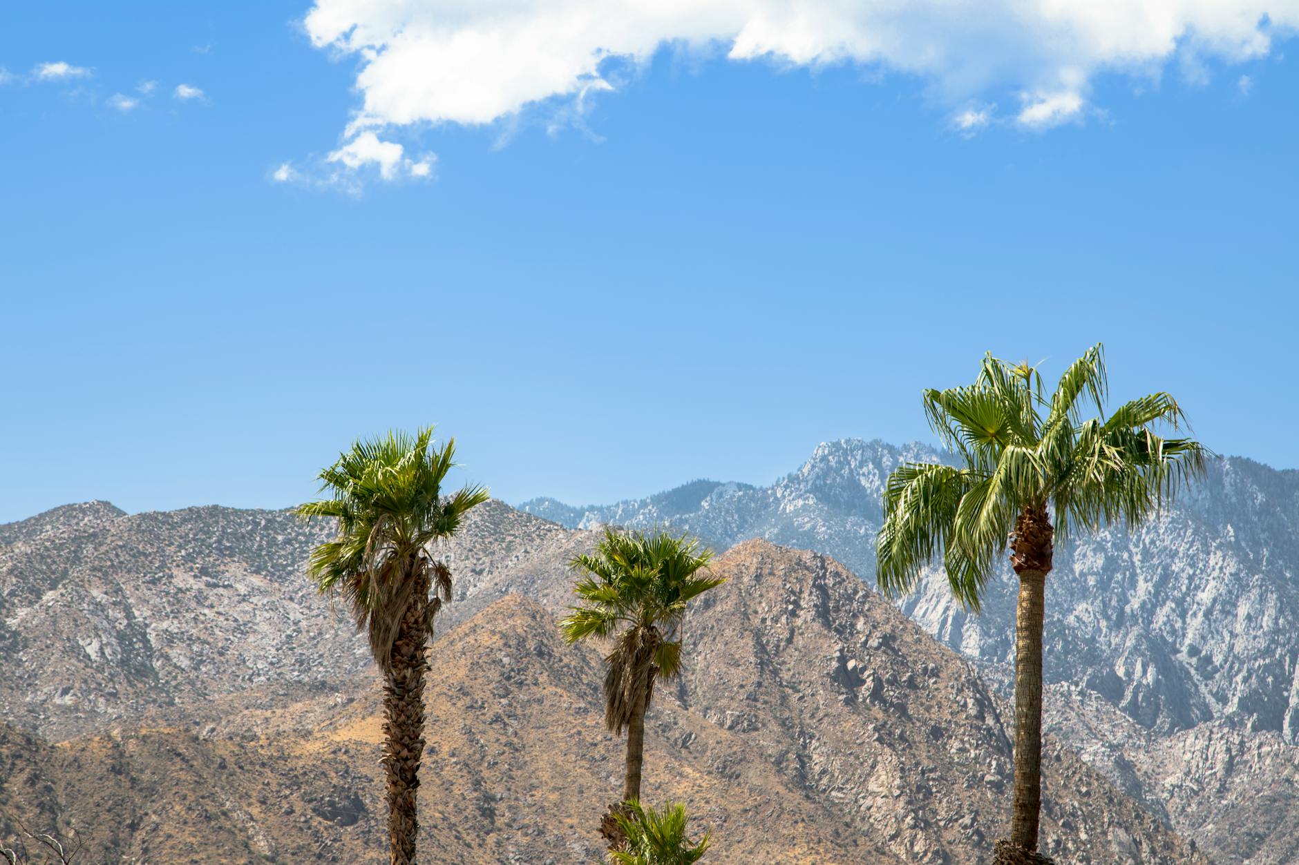 San Jacinto