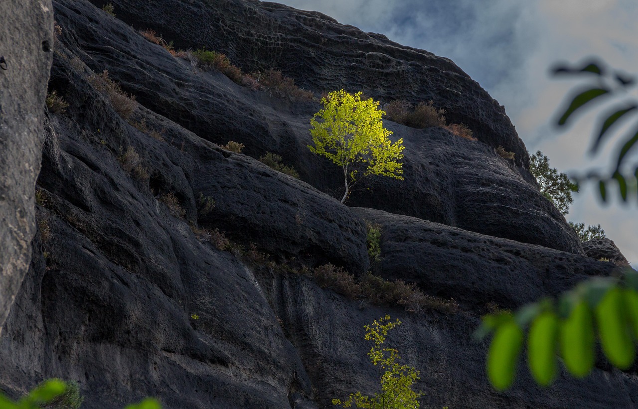 Sandstone