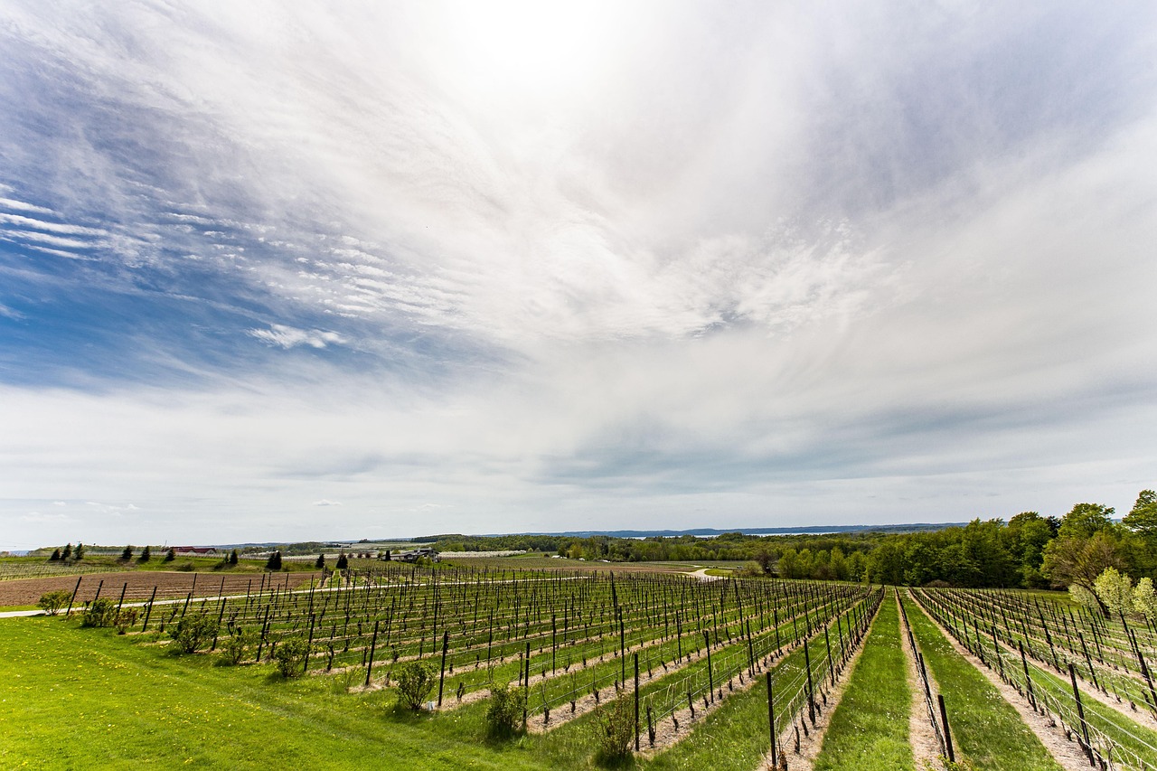 Traverse City